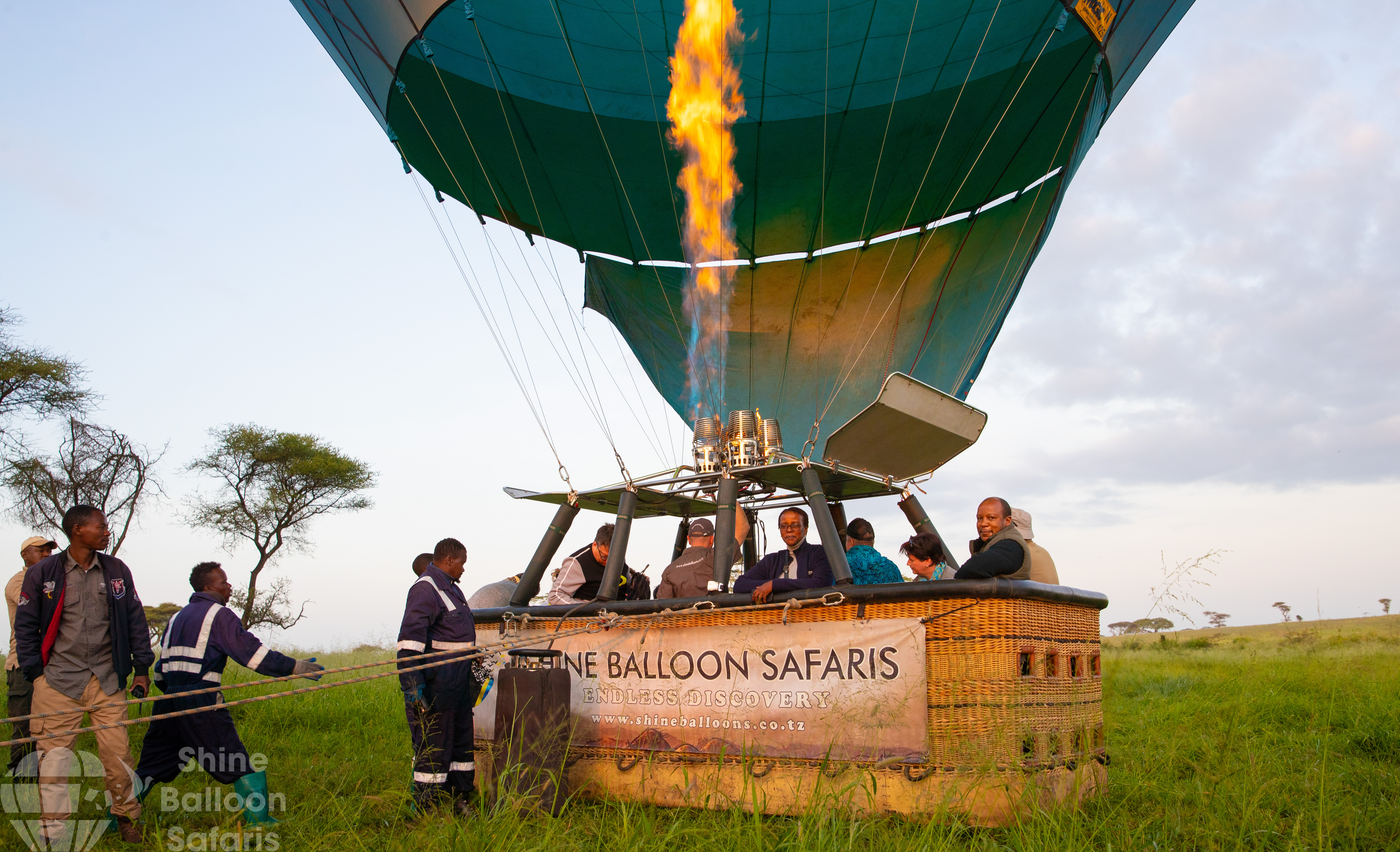 Safari Experience